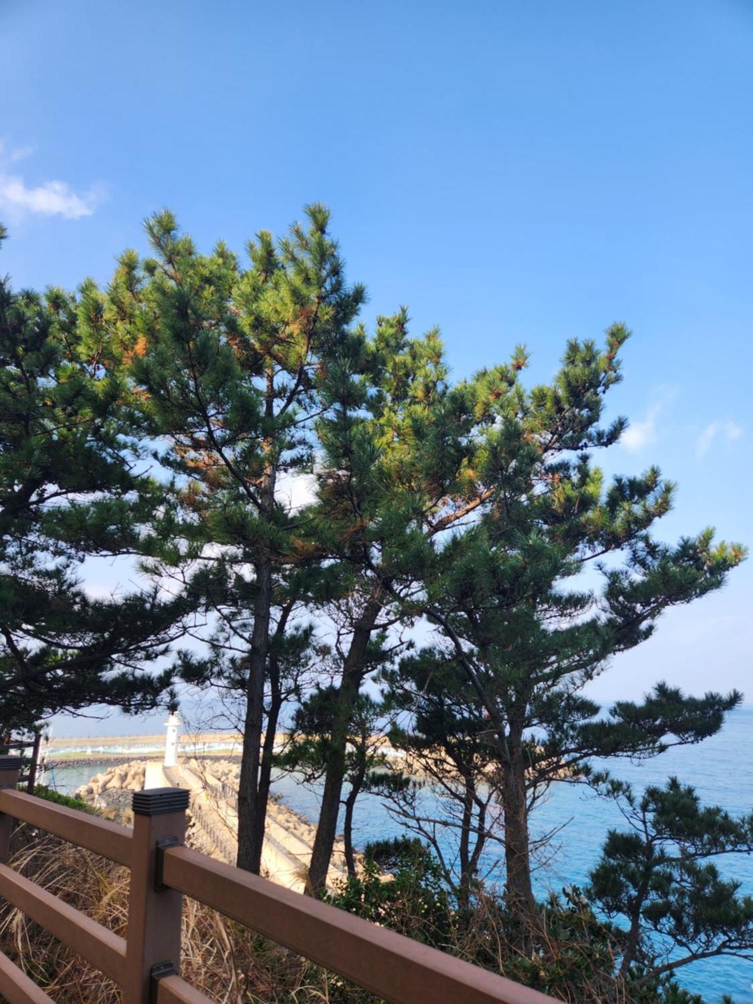 Bada Village Minbak Jeju Exterior foto